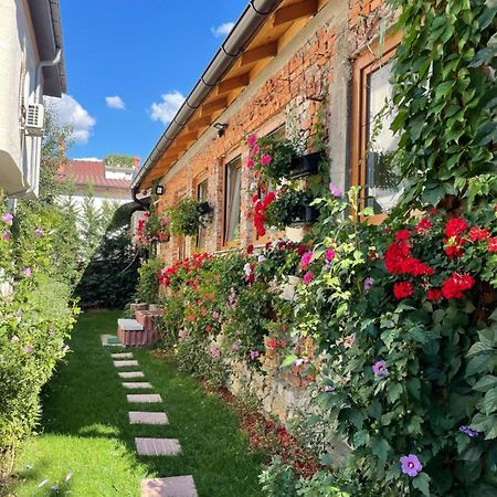 Flower House In The City Center! بريشتاين المظهر الخارجي الصورة