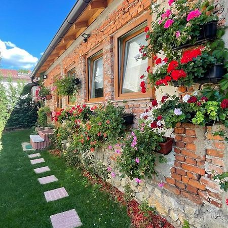 Flower House In The City Center! بريشتاين المظهر الخارجي الصورة