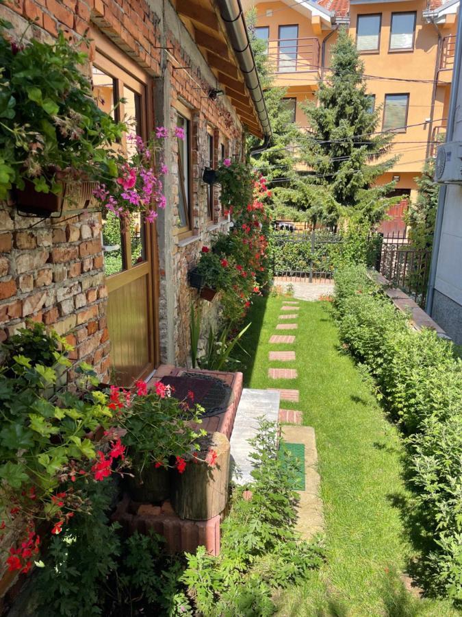Flower House In The City Center! بريشتاين المظهر الخارجي الصورة