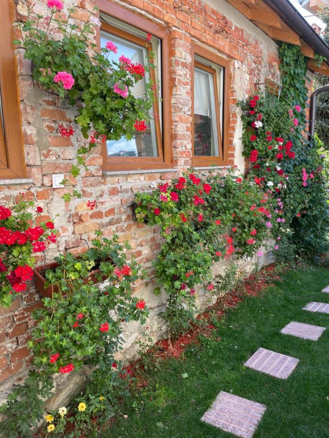 Flower House In The City Center! بريشتاين المظهر الخارجي الصورة